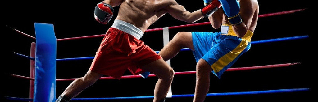  longest boxing match in history